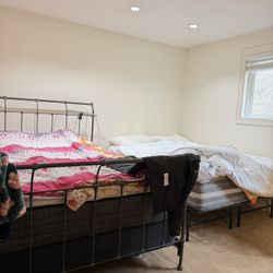 free Pick Up In bellevue