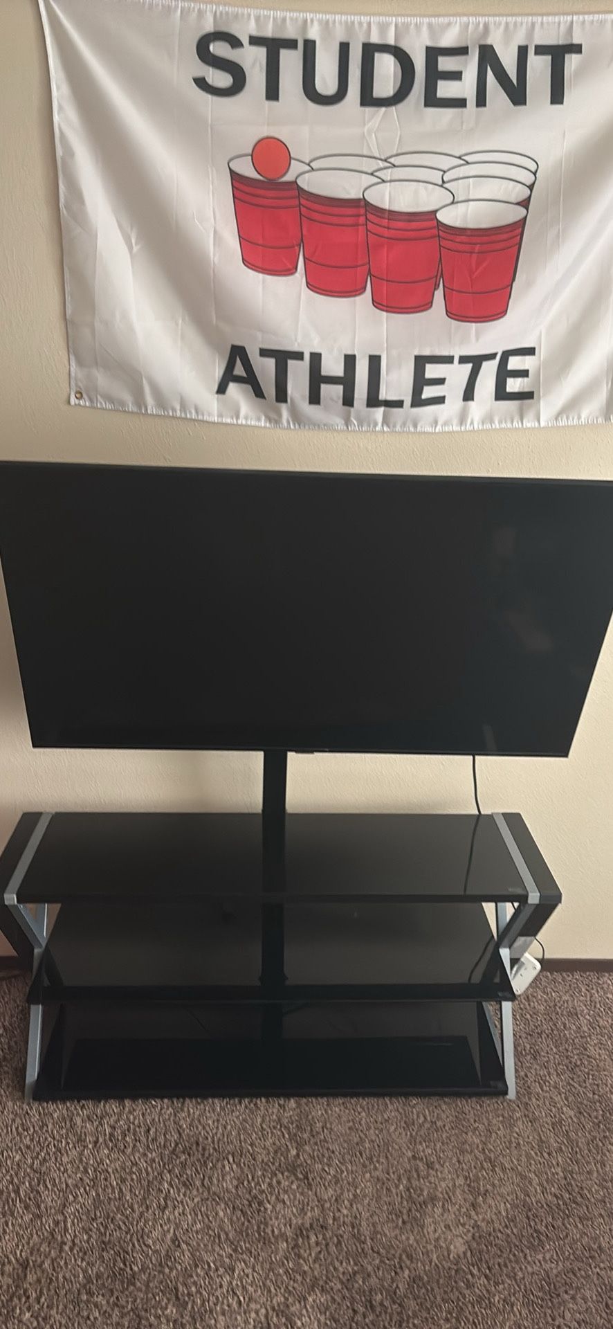 Mounted TV Stand
