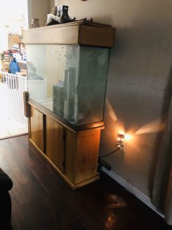 Fish tank