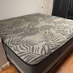 King Size Mattress, Box Spring, And Frame
