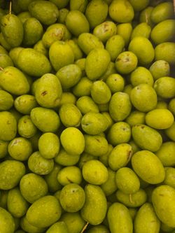 Fresh olives