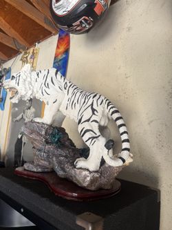 White tiger