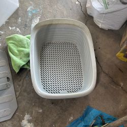 Free Cat Litter