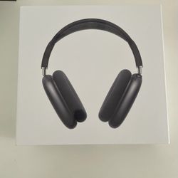 Apple Headphones 
