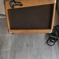 Esteban Guitar Amplifier 