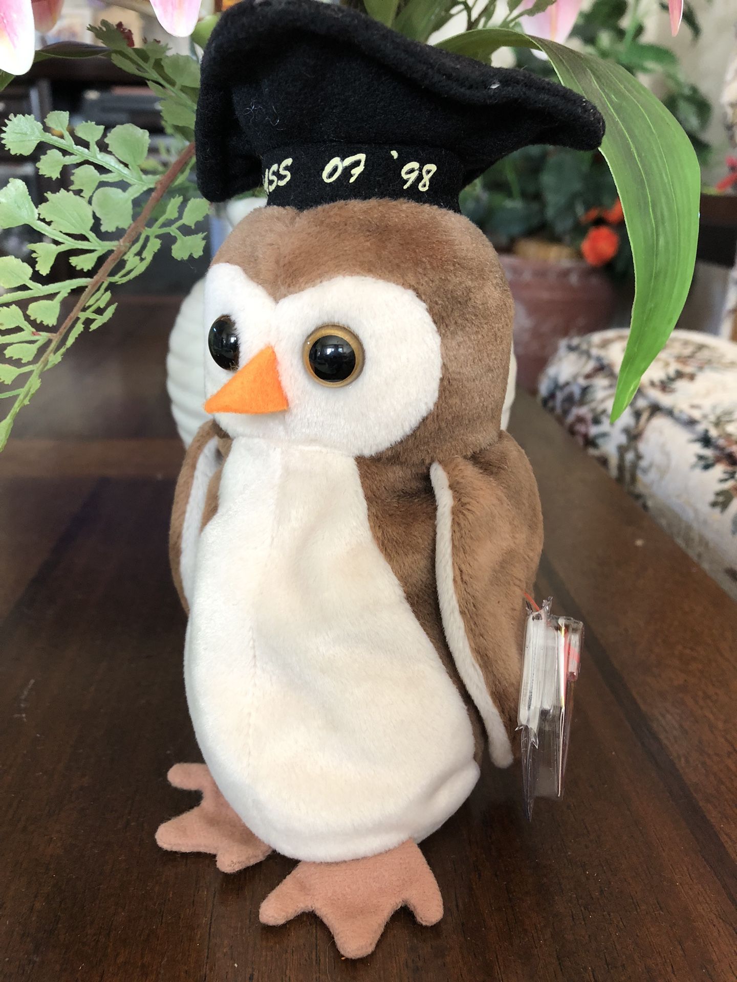Beanie Baby Wise