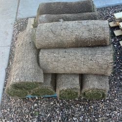 Mid Iron  27 Really Green Grass Rolls  (overseeded) 