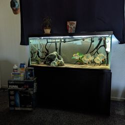 75 Gallon Aquarium Fish Tank