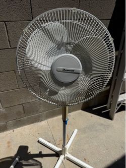 White fan