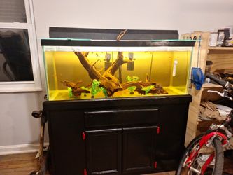 75 Gallon Aquarium 