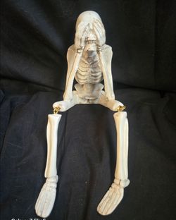 Exhausted stressed Skeleton