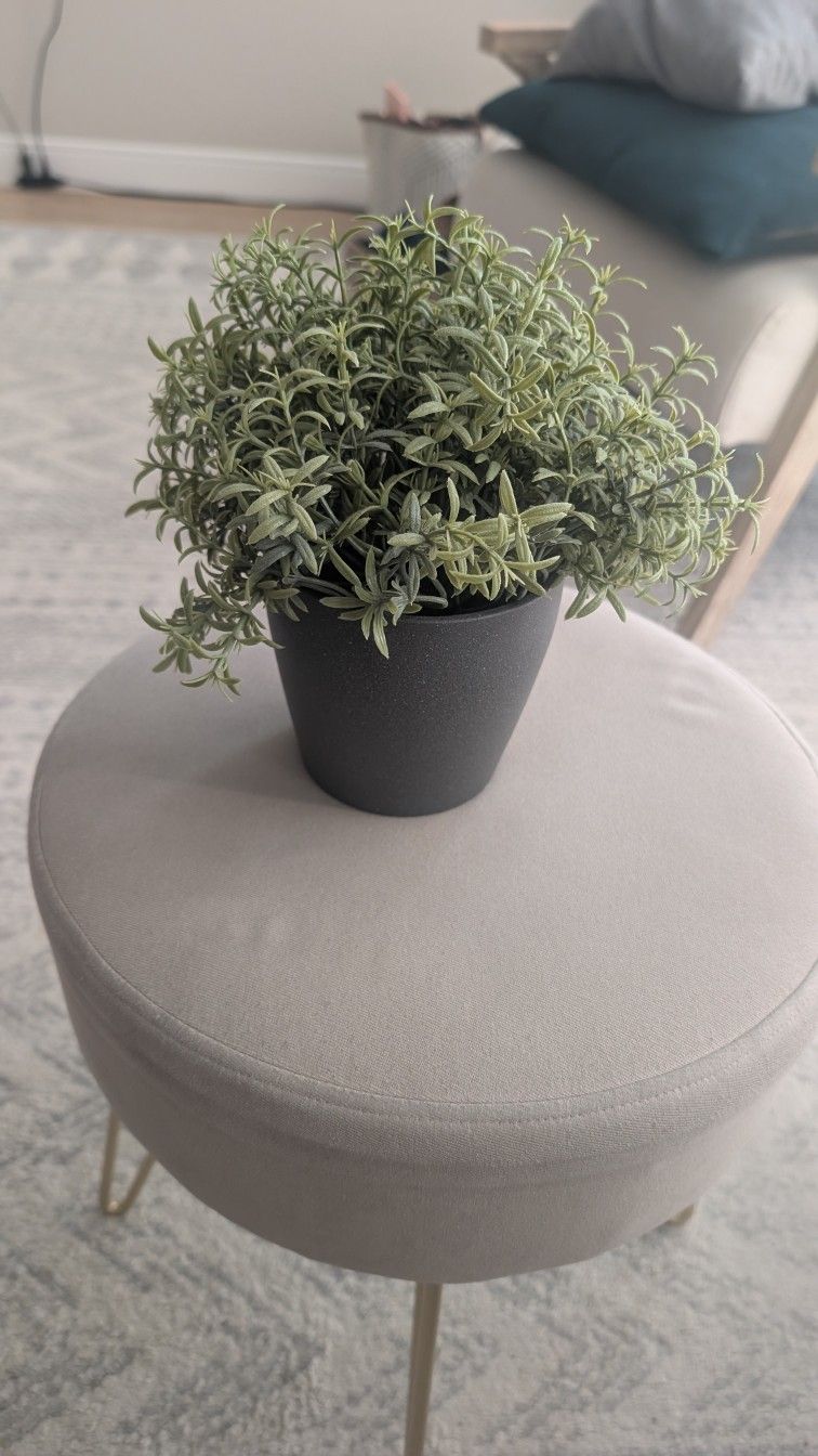 Artificial Green Potted Plant (8" x 8")