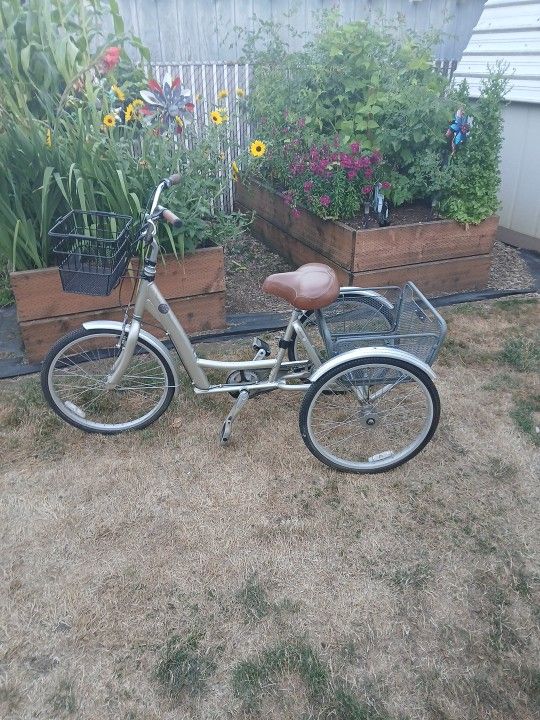 Pure DLX  Adult Trike 
