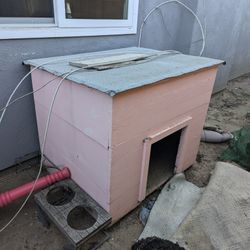 Dog House 