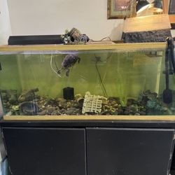 150 Gallon Fish Tank