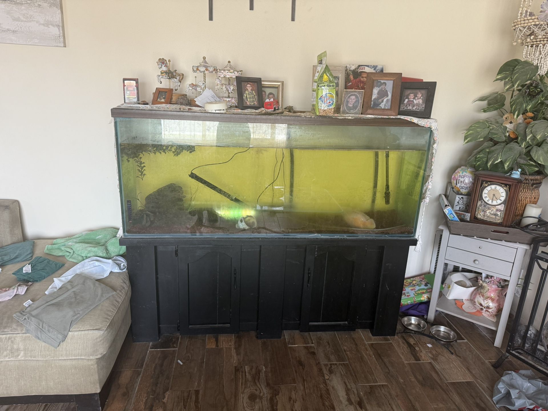 Fish Tank