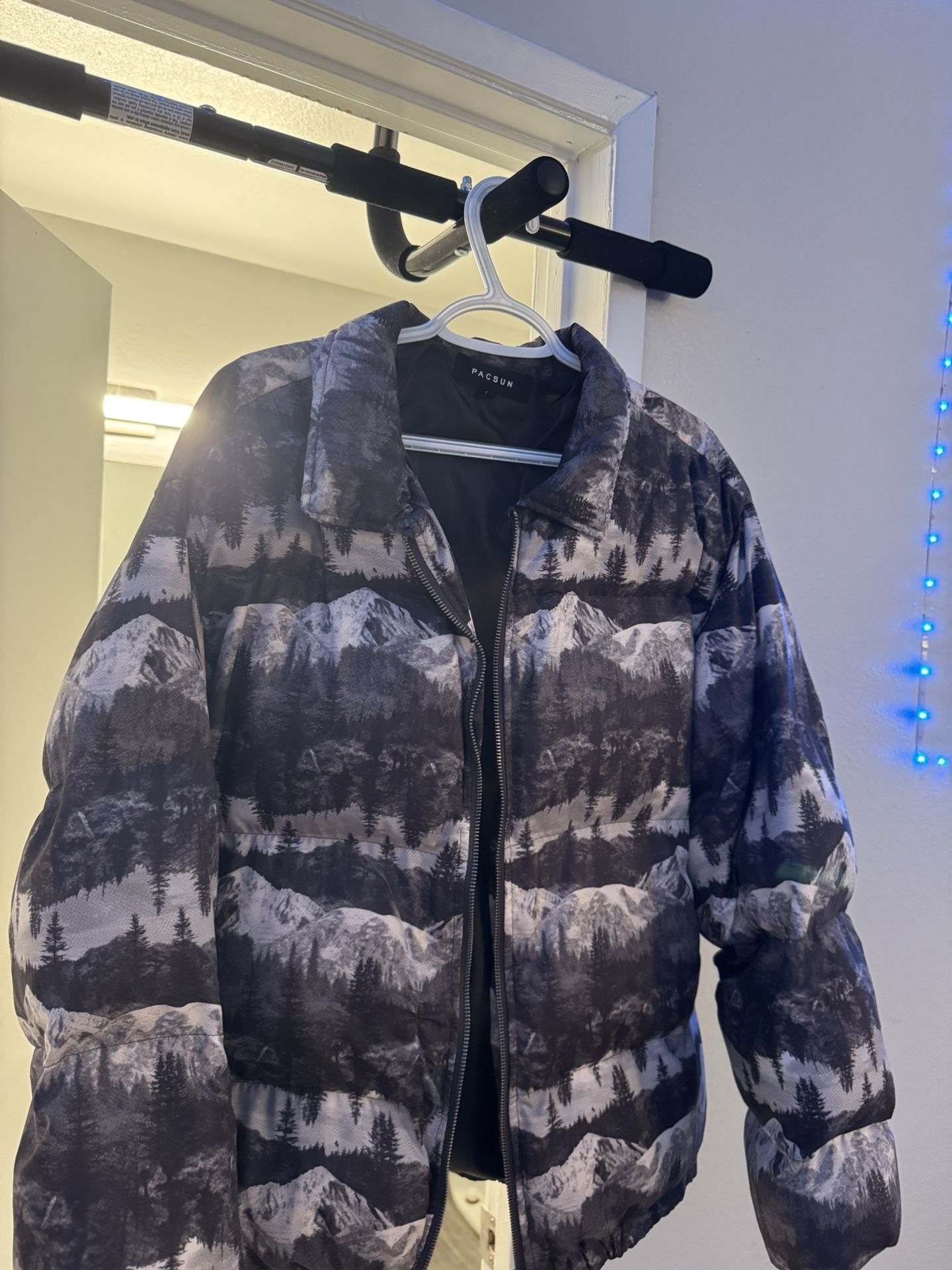 Puffer Jacket (Pacsun)