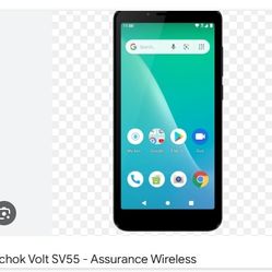 Schok Volt S,V,,55