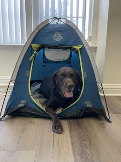 Arcadia trail Dog Tent