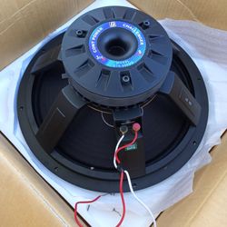 Challenger Series 15" Speaker