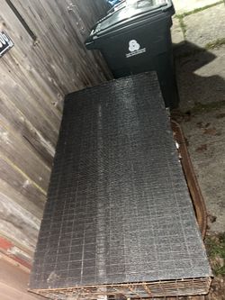 Bird Trap