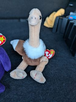 Hello Beanie Baby Collectors