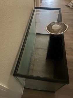 Animal Tank