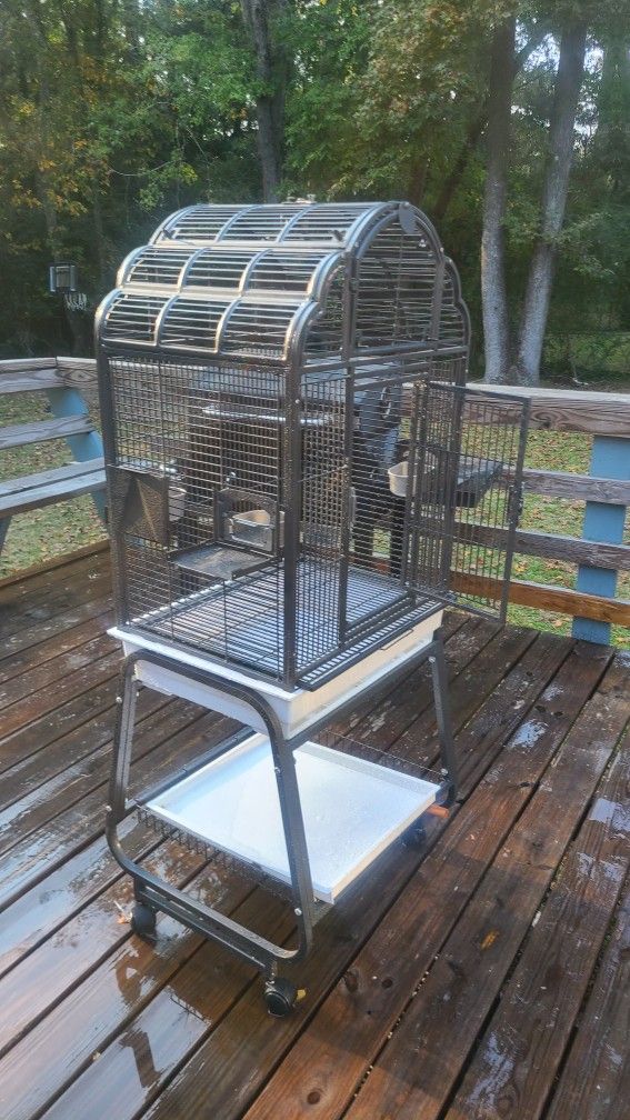 Bird Cage