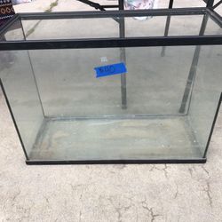 Fish Tank 