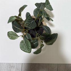 Threshold Tabletop Arrangement 