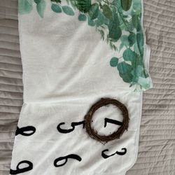 Baby Milestone Blanket