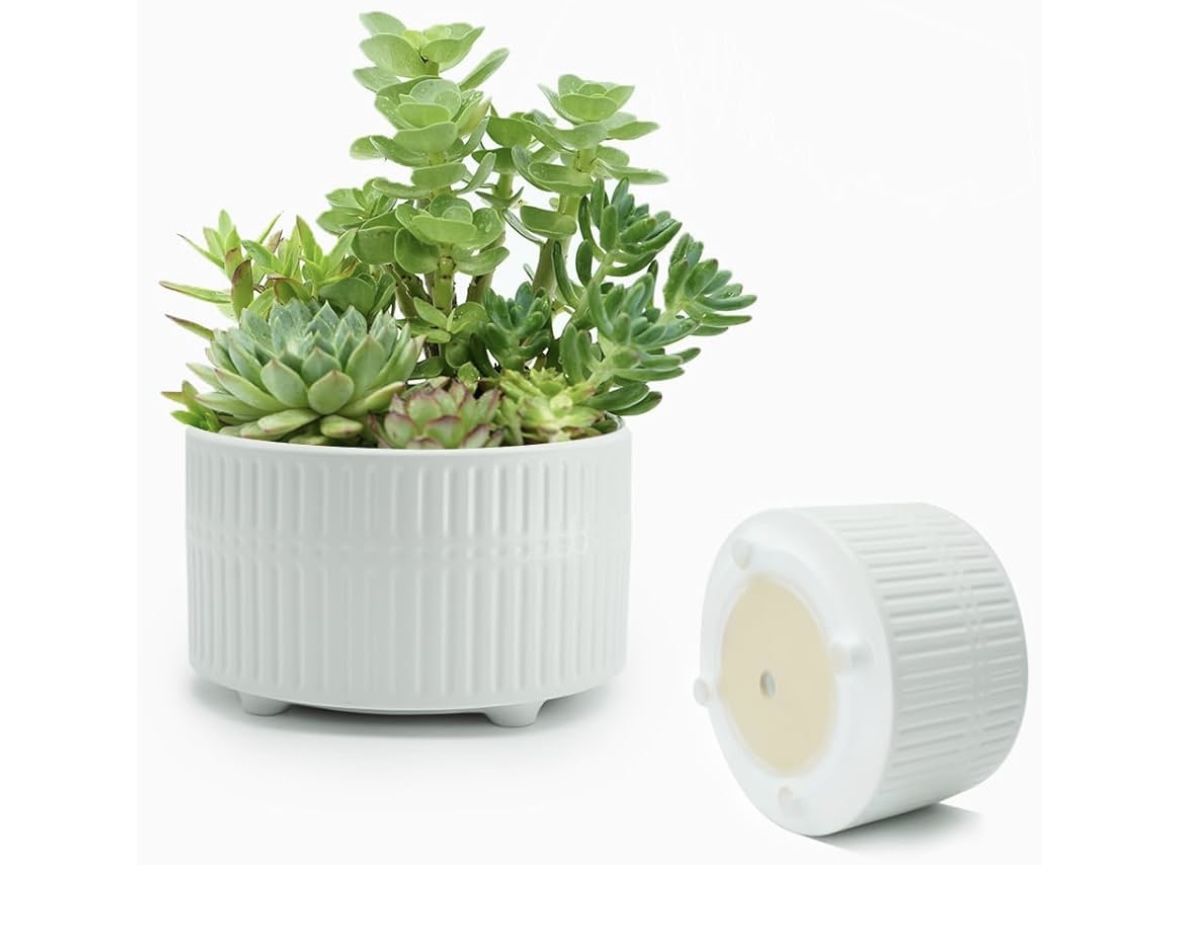 Plant Pots Indoor with Drainage Hole and Mesh Cricle, Elegant Round White Ceramic Pots for Succulents Plants, Diameter 6.5/8 Inches Large Flower Plant