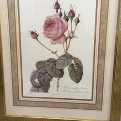 Rose print