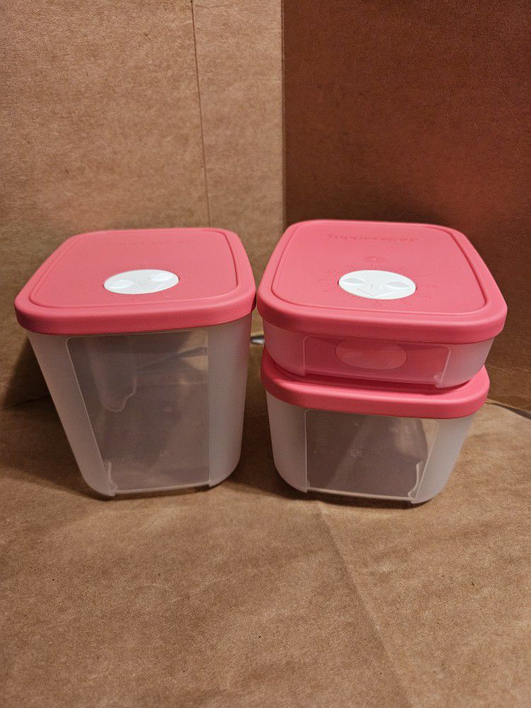 Tupperware Fridge/Freezer Date Containers 