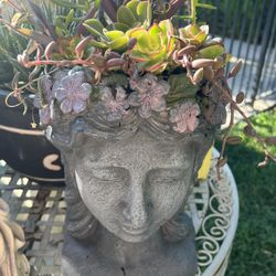 Large Succulent Bust Planter