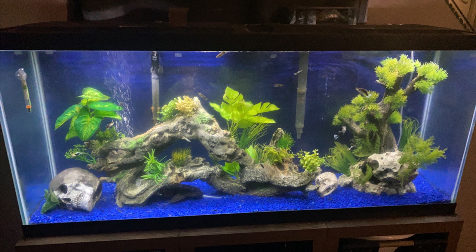 Fish Tank w/ Decor