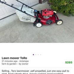 Lawn Mower 