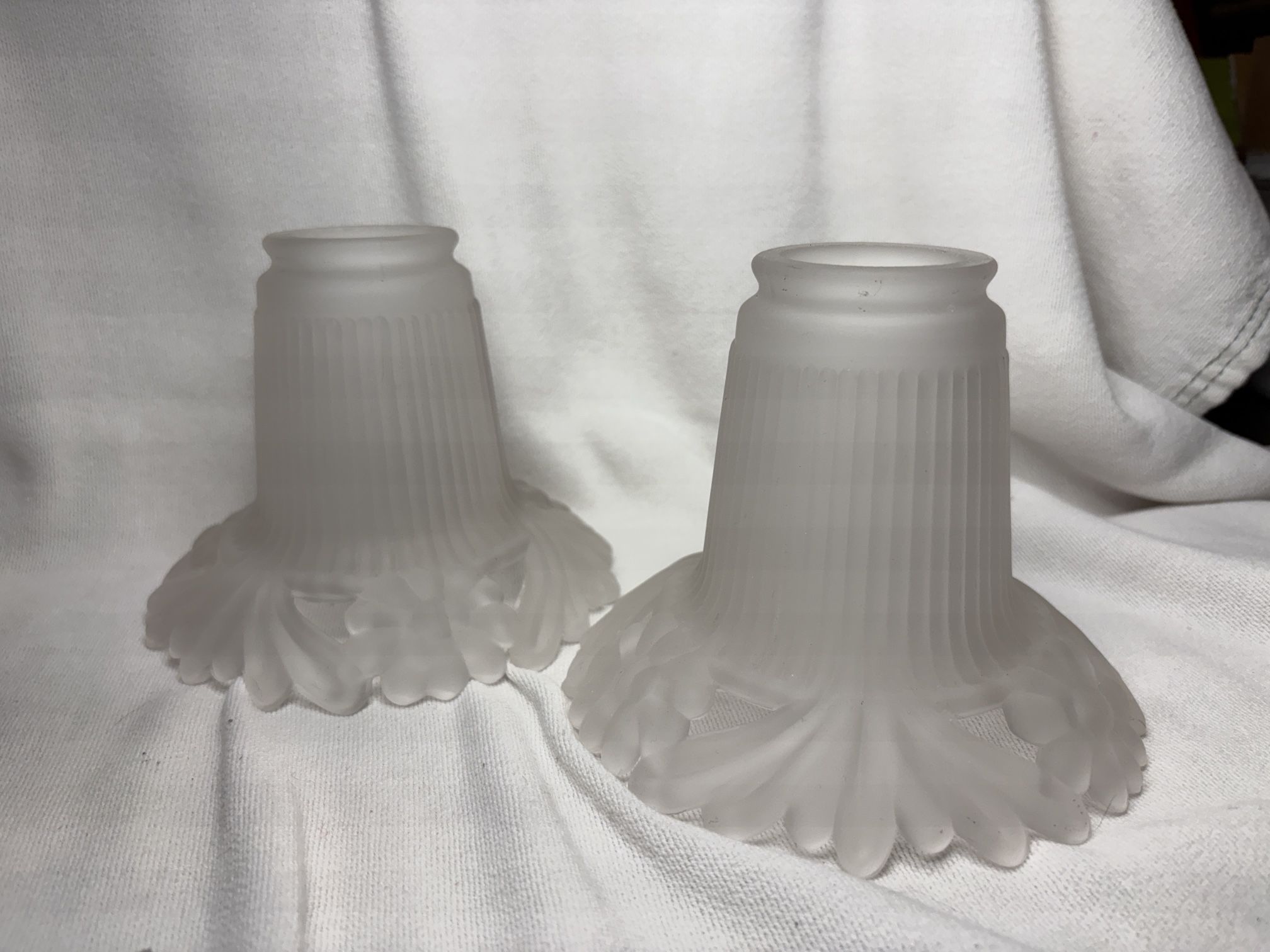 2 Frosted Lamp Shades With Flowers & Leaves On The Bottom Rim