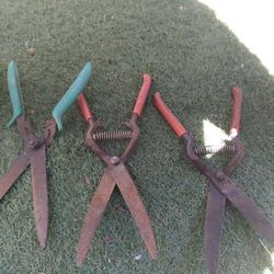 Scissors