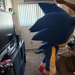 5’10 Foot Sonic 