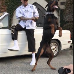 Home security • Personal Protection 