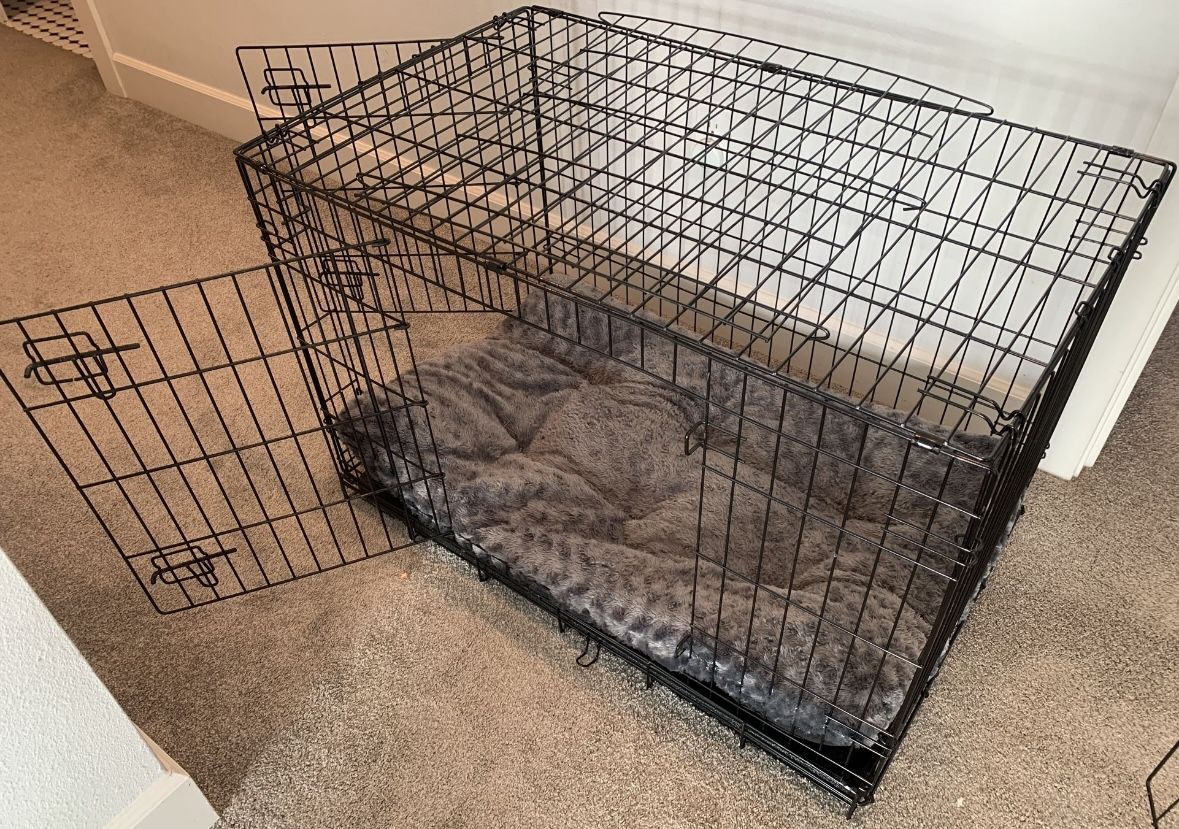 Large 36” Dog Crate With Dog Bed