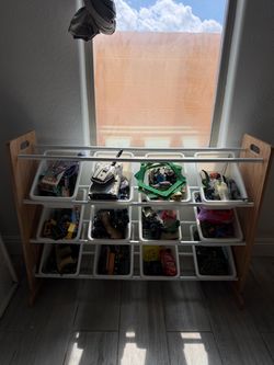 Storage Organizer with Bins