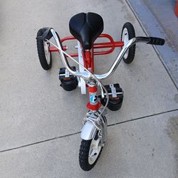 Triaid Tricycle (Special Needs)