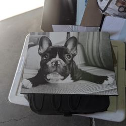 FRENCH BULLDOG PRINT 