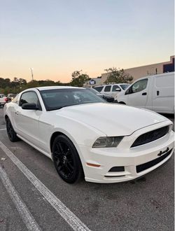 Ford Mustang Coupe White Black Wheels