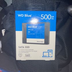 WD Blue 500 GB SATA SSD
