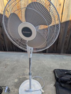 Holmes Oscillating Pedestal Fan
