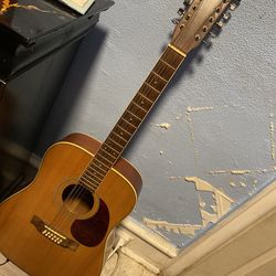 Arbor 12 string guitar