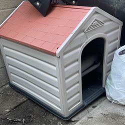 Dog House